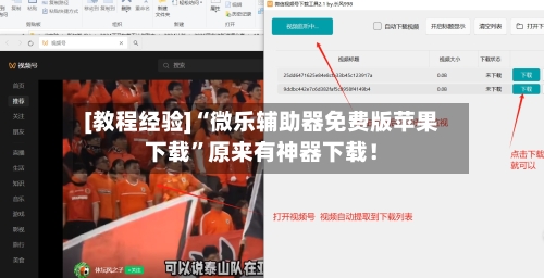 [教程经验]“微乐辅助器免费版苹果下载”原来有神器下载！-第2张图片