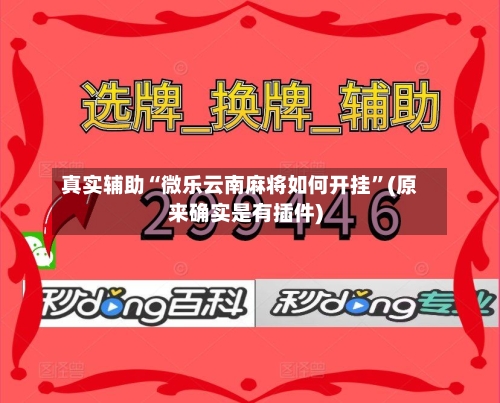 真实辅助“微乐云南麻将如何开挂	”(原来确实是有插件)-第2张图片
