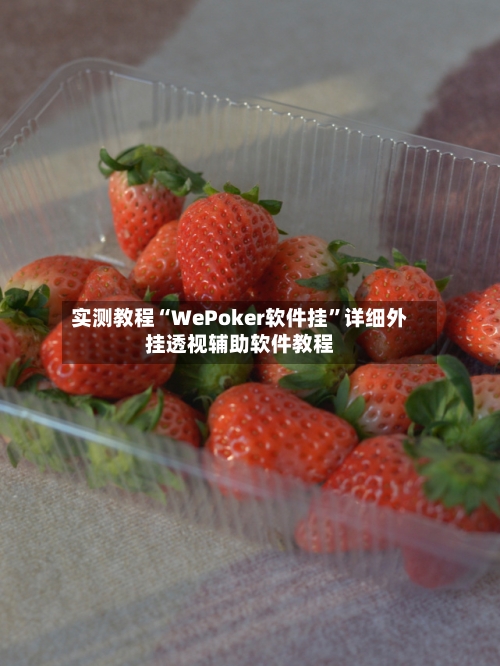 实测教程“WePoker软件挂”详细外挂透视辅助软件教程-第3张图片