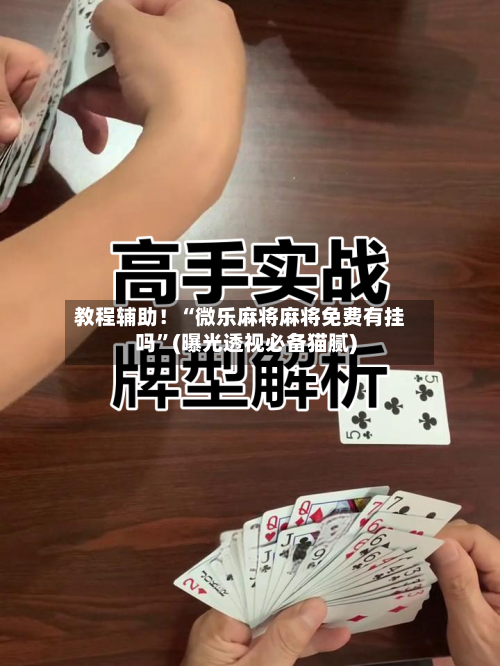 教程辅助！“微乐麻将麻将免费有挂吗”(曝光透视必备猫腻)