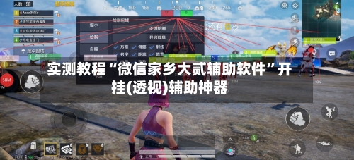 实测教程“微信家乡大贰辅助软件”开挂(透视)辅助神器-第3张图片