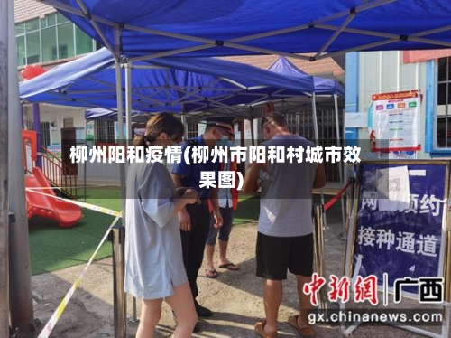 柳州阳和疫情(柳州市阳和村城市效果图)