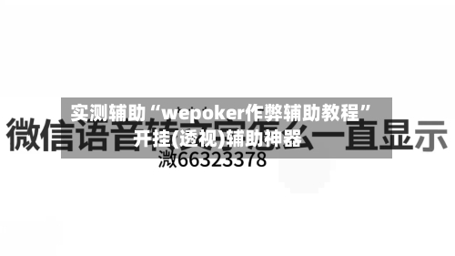 实测辅助“wepoker作弊辅助教程	”开挂(透视)辅助神器-第2张图片