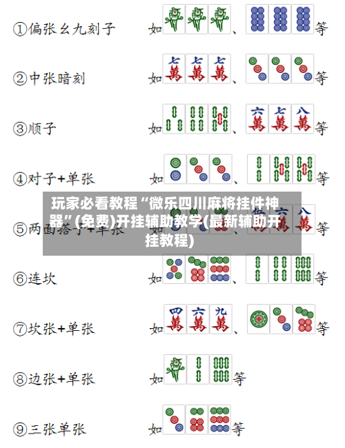 玩家必看教程“微乐四川麻将挂件神器”(免费)开挂辅助教学(最新辅助开挂教程)-第2张图片