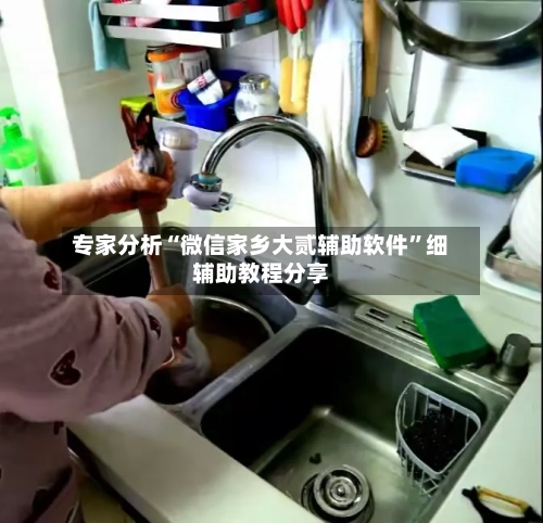 专家分析“微信家乡大贰辅助软件”细辅助教程分享