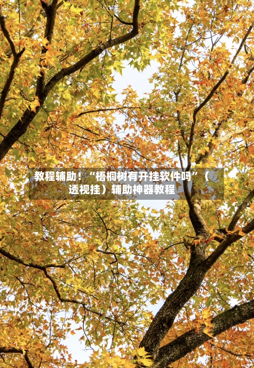 教程辅助！“梧桐树有开挂软件吗”（透视挂）辅助神器教程-第2张图片