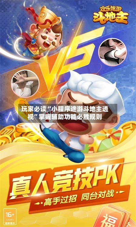 玩家必读“小程序途游斗地主透视”掌握辅助功能必胜规则-第3张图片