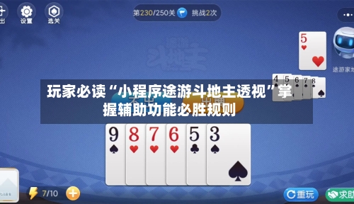 玩家必读“小程序途游斗地主透视	”掌握辅助功能必胜规则-第2张图片