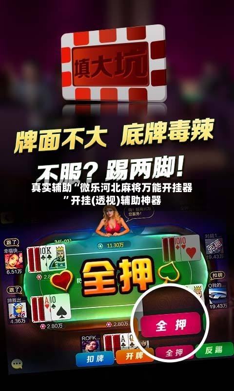 真实辅助“微乐河北麻将万能开挂器”开挂(透视)辅助神器