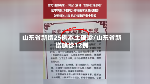 山东省新增25例本土确诊/山东省新增确诊12例