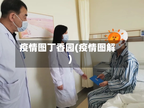 疫情图丁香园(疫情图解)-第2张图片