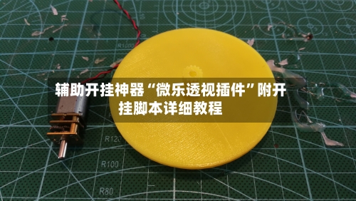 辅助开挂神器“微乐透视插件”附开挂脚本详细教程-第3张图片