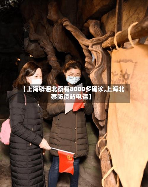 【上海辟谣北蔡有8000多确诊,上海北蔡防疫站电话】