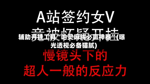 辅助开挂工具“哈灵麻将必赢神器	”(曝光透视必备猫腻)-第2张图片