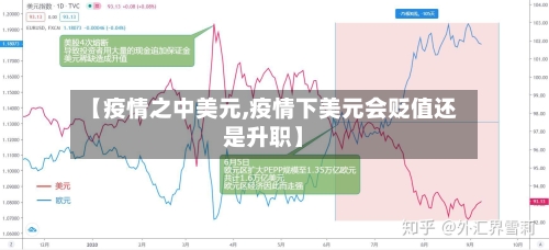 【疫情之中美元,疫情下美元会贬值还是升职】-第2张图片