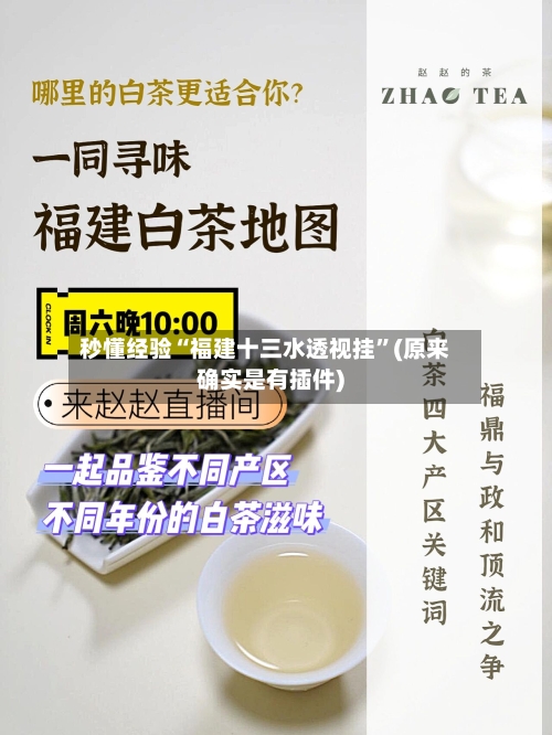 秒懂经验“福建十三水透视挂”(原来确实是有插件)