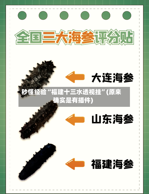 秒懂经验“福建十三水透视挂”(原来确实是有插件)-第3张图片