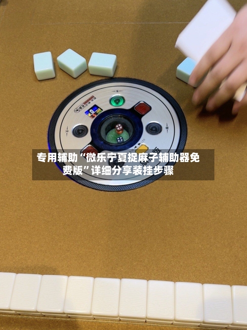 专用辅助“微乐宁夏捉麻子辅助器免费版	”详细分享装挂步骤-第3张图片