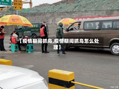 【疫情期间抓鸟,疫情期间抓鸟怎么处理】