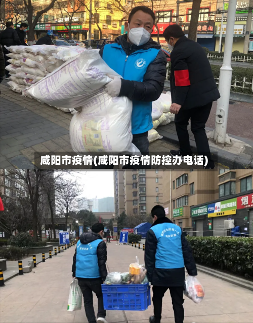 咸阳市疫情(咸阳市疫情防控办电话)-第2张图片