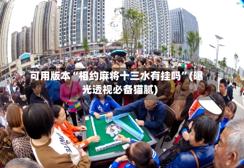 可用版本“相约麻将十三水有挂吗”(曝光透视必备猫腻)-第2张图片