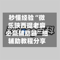 秒懂经验“微乐陕西捉老麻必赢辅助器”细辅助教程分享-第3张图片