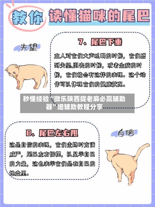 秒懂经验“微乐陕西捉老麻必赢辅助器	”细辅助教程分享-第2张图片