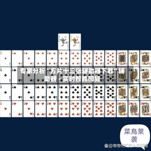 专家分析“方片十三张辅助器下载	”辅助器 - 实时智能回复-第2张图片