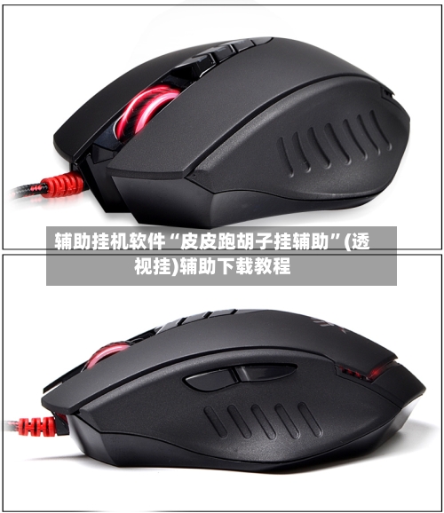 辅助挂机软件“皮皮跑胡子挂辅助”(透视挂)辅助下载教程-第2张图片