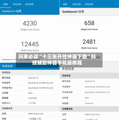 玩家必读“十三张开挂神器下载”科技辅助神器手机版教程-第2张图片