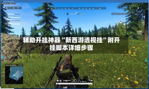 辅助开挂神器“新西游透视挂”附开挂脚本详细步骤-第2张图片