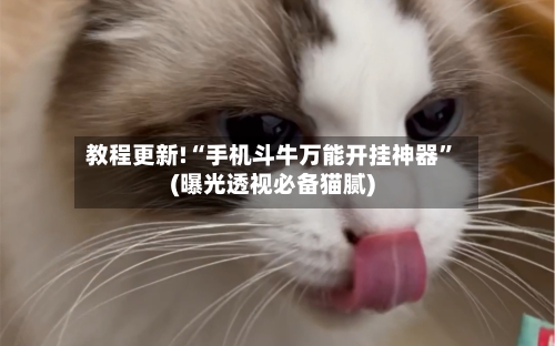 教程更新!“手机斗牛万能开挂神器”(曝光透视必备猫腻)-第3张图片