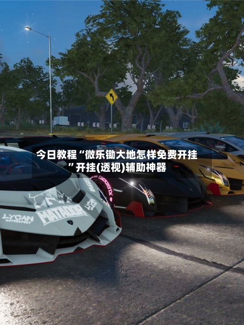 今日教程“微乐锄大地怎样免费开挂”开挂(透视)辅助神器-第2张图片