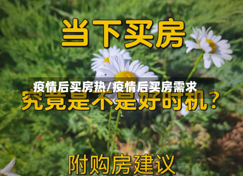 疫情后买房热/疫情后买房需求