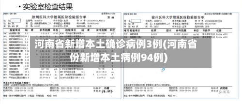 河南省新增本土确诊病例3例(河南省份新增本土病例94例)-第2张图片