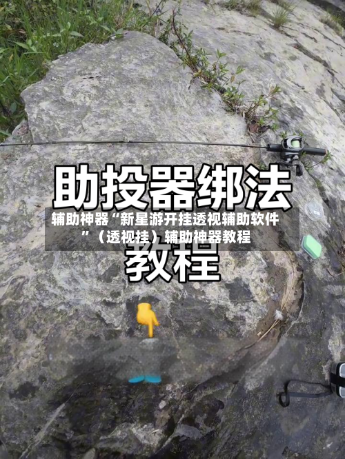 辅助神器“新星游开挂透视辅助软件	”（透视挂）辅助神器教程-第2张图片