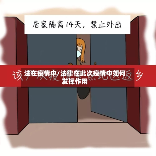 法在疫情中/法律在此次疫情中如何发挥作用