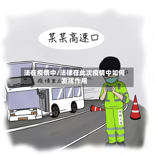 法在疫情中/法律在此次疫情中如何发挥作用-第3张图片