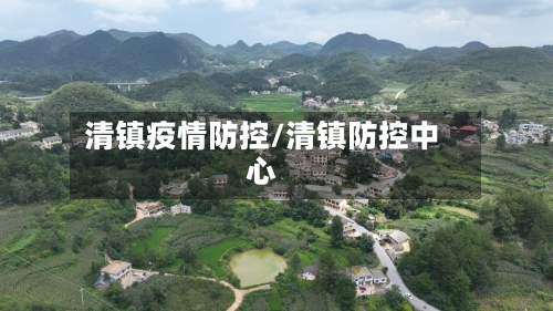 清镇疫情防控/清镇防控中心