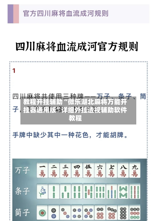 教程开挂辅助“微乐湖北麻将万能开挂器通用版”详细外挂透视辅助软件教程-第3张图片