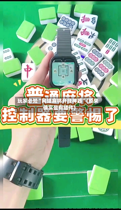 玩家必知“网络麻将开挂神器”(原来确实是有插件)-第3张图片