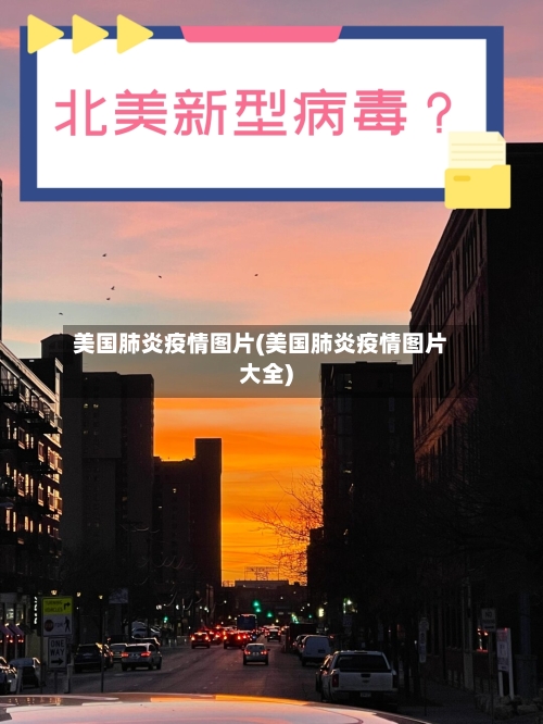 美国肺炎疫情图片(美国肺炎疫情图片大全)-第3张图片