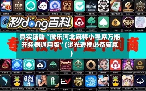 真实辅助“微乐河北麻将小程序万能开挂器通用版”(曝光透视必备猫腻)-第3张图片