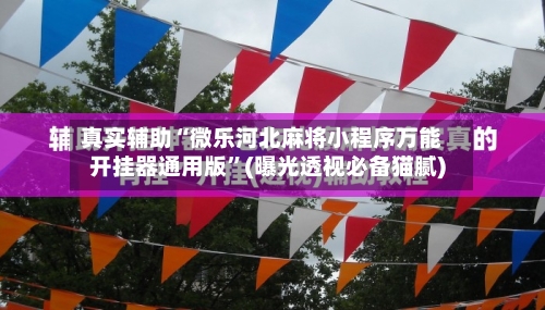 真实辅助“微乐河北麻将小程序万能开挂器通用版”(曝光透视必备猫腻)