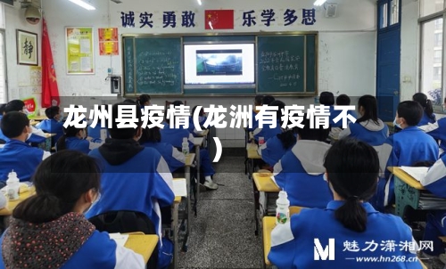 龙州县疫情(龙洲有疫情不)-第3张图片