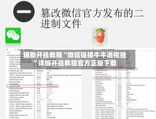 辅助开挂教程“微信链接牛牛透视挂”详细开挂教程官方正版下载-第2张图片
