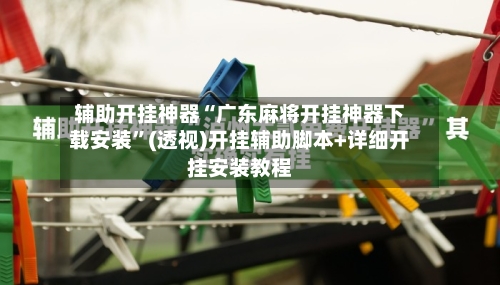 辅助开挂神器“广东麻将开挂神器下载安装”(透视)开挂辅助脚本+详细开挂安装教程-第3张图片