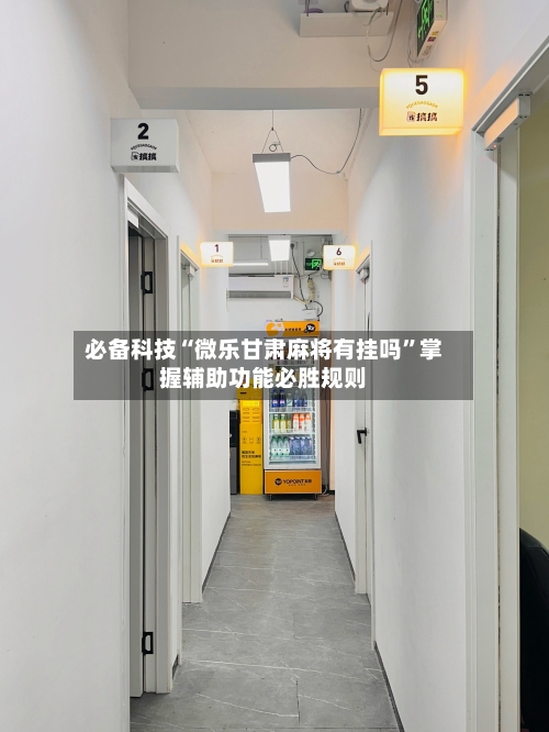 必备科技“微乐甘肃麻将有挂吗	”掌握辅助功能必胜规则-第2张图片