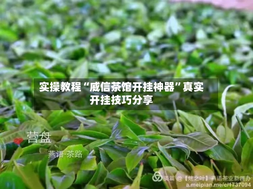 实操教程“威信茶馆开挂神器”真实开挂技巧分享-第3张图片